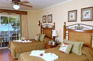 Hotel Be Live Carey Junior Suite 1